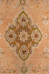 Antique Agra Area Rug (5' x 10')